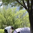 5월 초는 야장하기 좋은날이었다고(서울숲 포켓몬포레스트/성수 훼미리손칼국수보쌈/데이미안 허스트전)