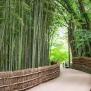 담양 죽녹원 게스트하우스 이미지