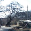 진웅농장 이미지