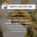 전이냉면 이미지