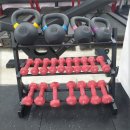 라이즈업 피트니스 우먼 이미지