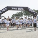 콜러노비타 이미지