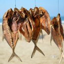 속초생생젓갈, 속초생생건어물 이미지