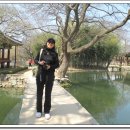 남도설렁탕 이미지