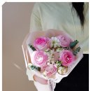 플레르다솔 이미지