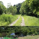 도그파크랜드 이미지