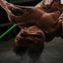 더씽 (the thing) 이미지