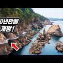 삼척케이블카 장호역(항) 동해 최고의 미항에서 시작하는 &#39;7km&#39; 절경 트레킹 코스 | 📸 대중교통 당일치기 여행 | 🇰� 이미지