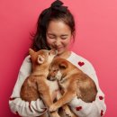 올리브동물병원 이미지