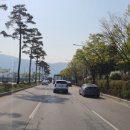 동내기사식당 이미지