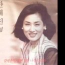 한혜진 - 갈색추억 이미지