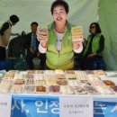 마산가고파 국화축제장 이미지