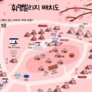 명동명약국 이미지