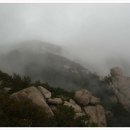 금산-38 이미지