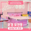 모전 | 모전동 24시 무인 탁구장 '짱탁구장 문경모전점' 후기! 핑크핑크 예쁜 탁구대와 1인 로봇탁구 이용 꿀팁...