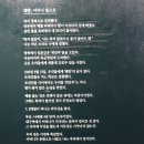다부초교 | 희움 일본군&#39;위안부&#39;역사관, 전쟁이 끝나도 그들의 이야기는 없었다대구 중구가볼만한곳