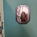 구미가당김 | 구미옥계산동 파스타맛집 추천 구미가당김