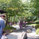 도쿄 오오에도 온천 쿠폰 할인 가격 싸게!