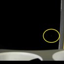 엘로힘