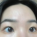 율하역 방향 율하남교 | 대구 율하동 속눈썹펌 탱글 탱글한 컬링감에 지속력도 좋은 ‘뉴리브’