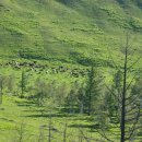 바위목장 이미지