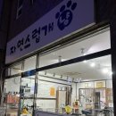 자연스럽개 이미지