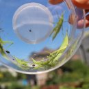 한결농장 이미지