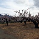 부동마을회관 이미지