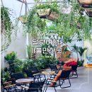 베트남 달랏 자유 여행 달랏마사지 팁 카차우스파 카페 추천