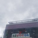 우포 잠자리 나라 이미지