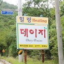 김삿갓데이지펜션 이미지
