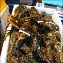 신부시장 이미지