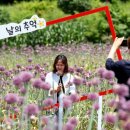 작천커피
