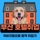 레비뉴스테이 | 부산 호텔취업, 경력 없다고 포기? 국비지원 으로 뒤집는 합격 비결!