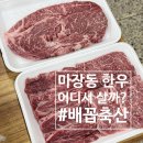 마장동 축산시장 또간집! 배꼽축산 후기, 한우 모둠 추천 정육점