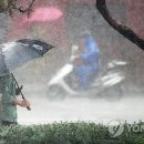 23호 태풍 피토,주말께 우리나라에 영향 가능성.news 이미지