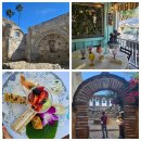 데이나(DANA) | 주차+카페 맛집 (Mission San Juan Capistrano)과 실패한 데이나포인트 동굴(Dana Point Cave)가기 후기..