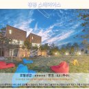 경포아쿠아리움박물관 | 강릉 스테이어스 호텔 솔직 후기! 강릉 여행 숙소 추천
