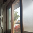 자담정