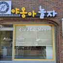 야옹아놀자 순천점 이미지