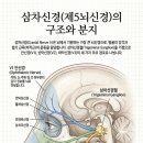 (주)경맥