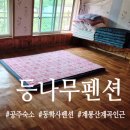 계룡산콘도텔 | 공주 동학사펜션 추천 계룡산 가까운 [등나무펜션] 후기
