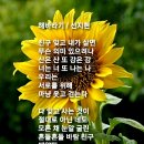 해바라기 선지현 동요 이미지