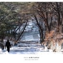 1013 | [블챌] 후지필름 카메라 X-T5 한 달 사용 후기 (feat. 23년 1월)