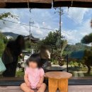 소금쟁이 | [양산] 양산통도사맛집 일본라멘맛집 소금쟁이라멘 / 후기