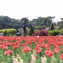 피노키오뮤지엄 이미지