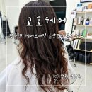 창원 미용실 일리아크리닉으로 손상모발 복구 고호헤어 후기