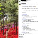 봄유컴퍼니