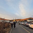 동읍517 | 2026년 창원 주남저수지 해돋이