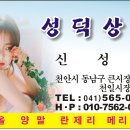 성덕상회 Daum카페